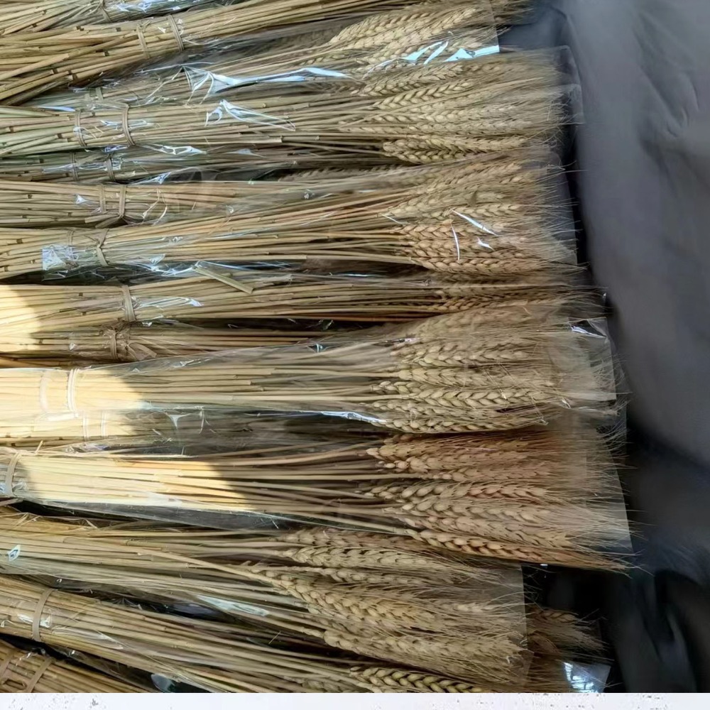 50pcs Artificial Flower Natura - Dried Flower Bulk recension och pris