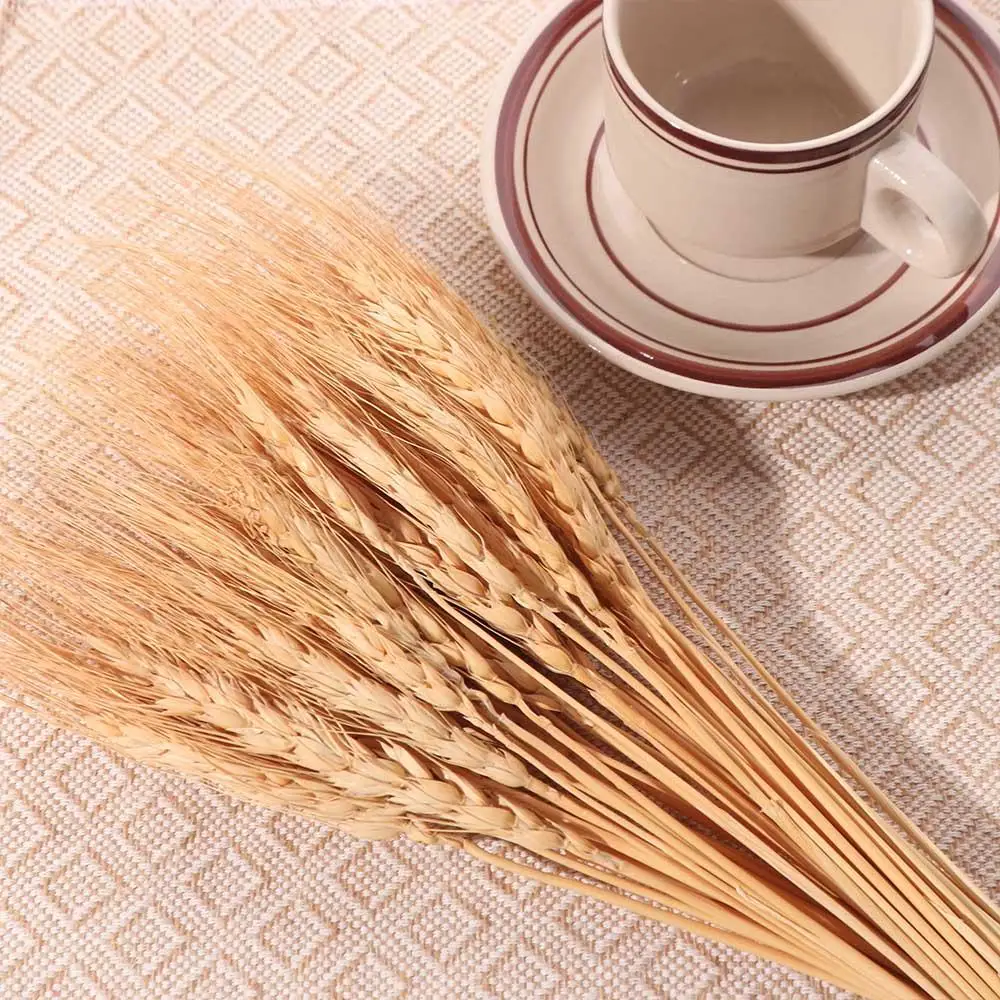 50pcs Artificial Flower Natura - Dried Flower Bulk recension och pris