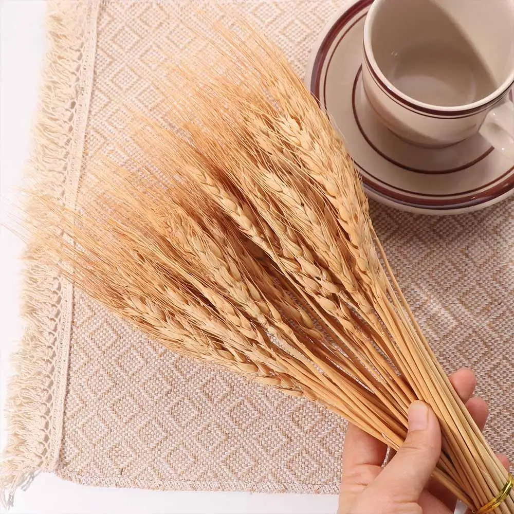 50pcs Artificial Flower Natura - Dried Flower Bulk recension och pris