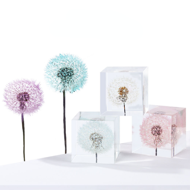 Dandelion preserved fresh flow - Flower Preservation Resin recension och pris