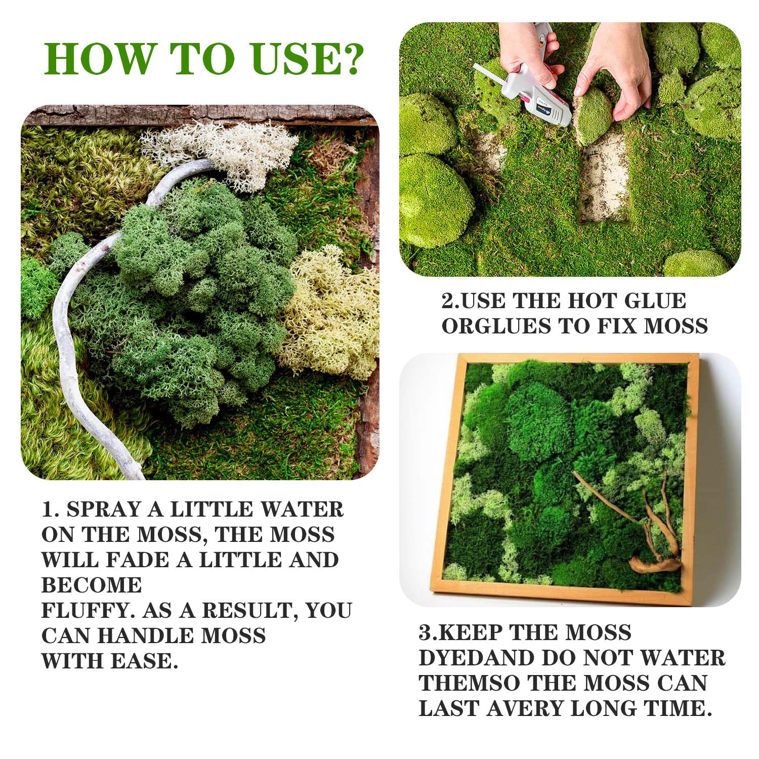 Artificial Green Plants Eterna - Terrarium Moss Art recension och pris