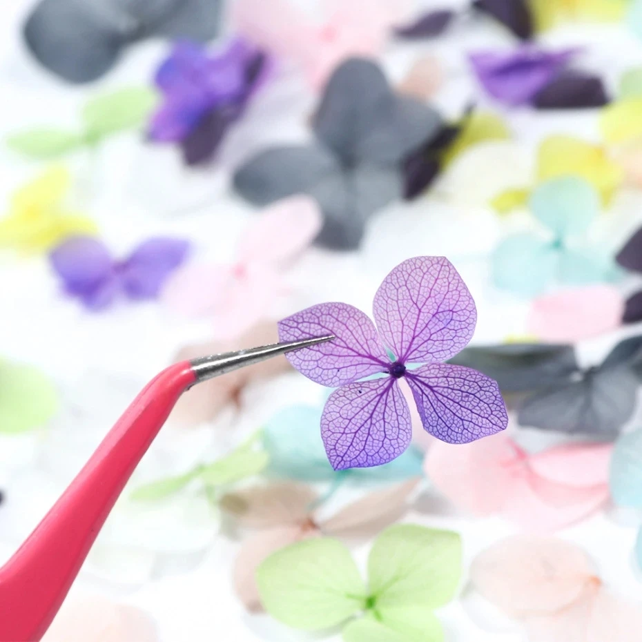 1Box Real Dried Flower Nail De - Dried Flower Bulk recension och pris