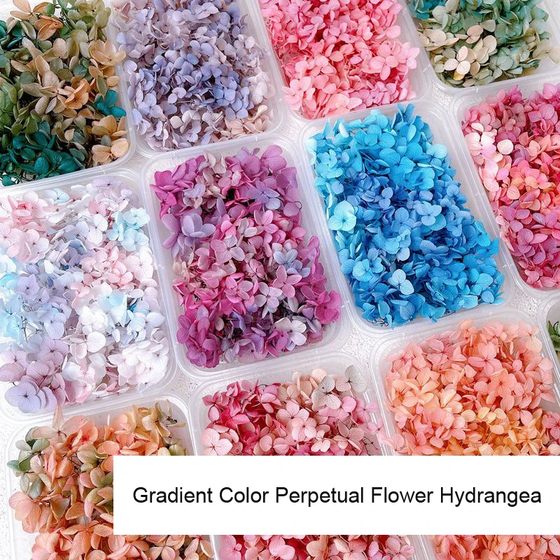 1Box Real Dried Flower Nail De - Dried Flower Bulk recension och pris