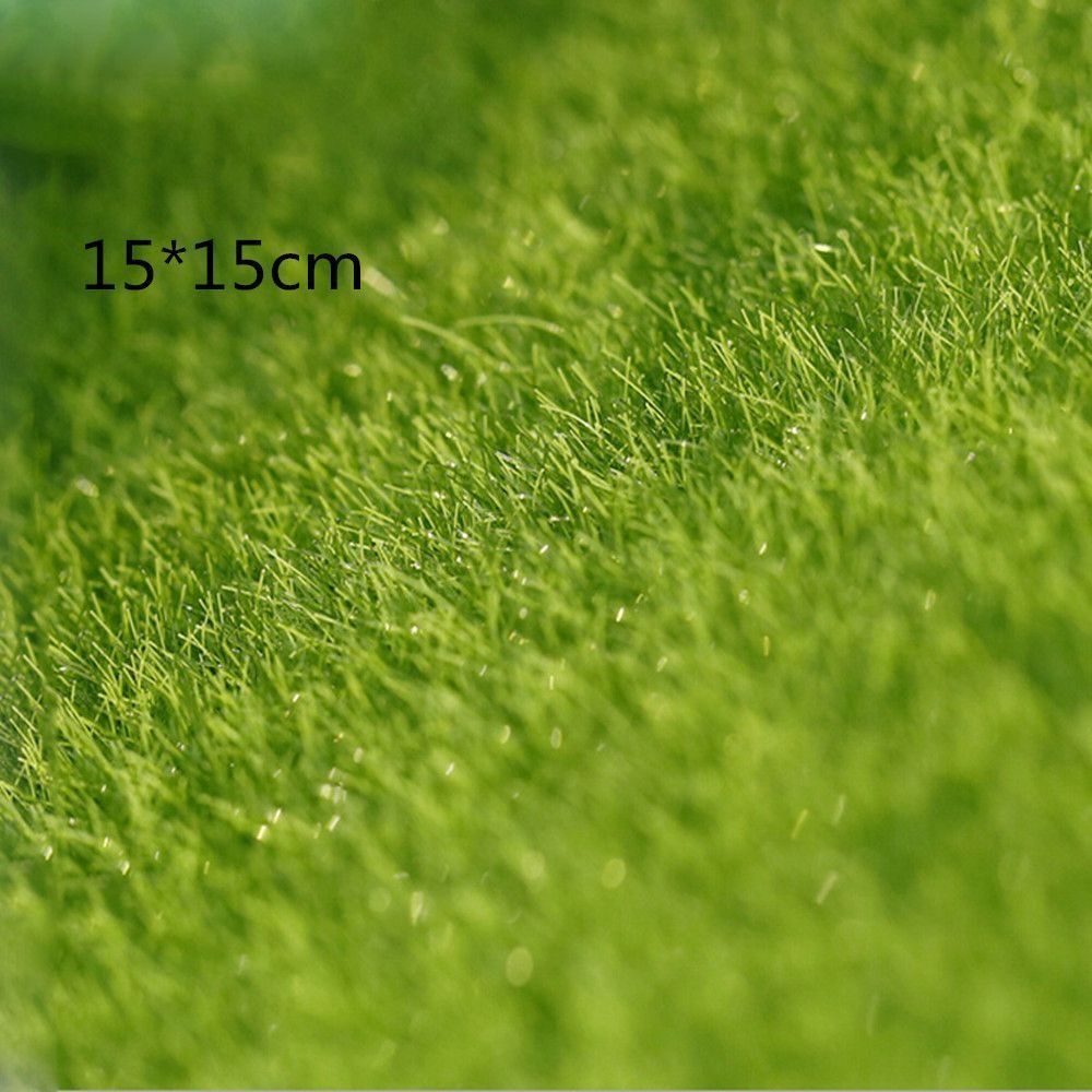 Ecological Lawn Decor Garden O - Terrarium Moss Art recension och pris