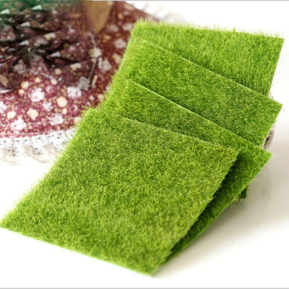 Ecological Lawn Decor Garden O - Terrarium Moss Art recension och pris
