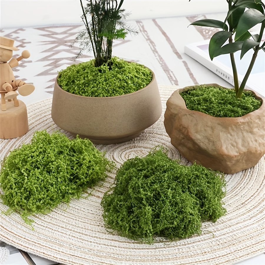 1pack Artificial Fake Moss, 1. - Terrarium Moss Art recension och pris