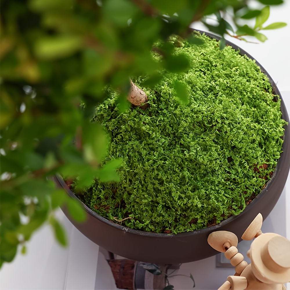 1pack Artificial Fake Moss, 1. - Terrarium Moss Art recension och pris