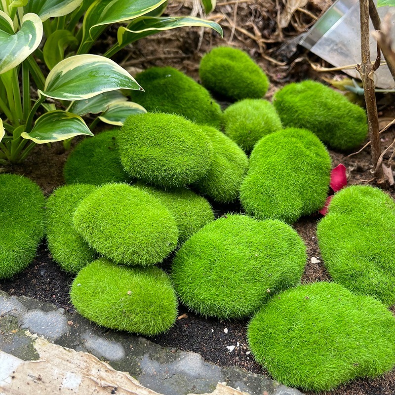 5/30pcs Simulation Moss Stone  - Terrarium Moss Art recension och pris