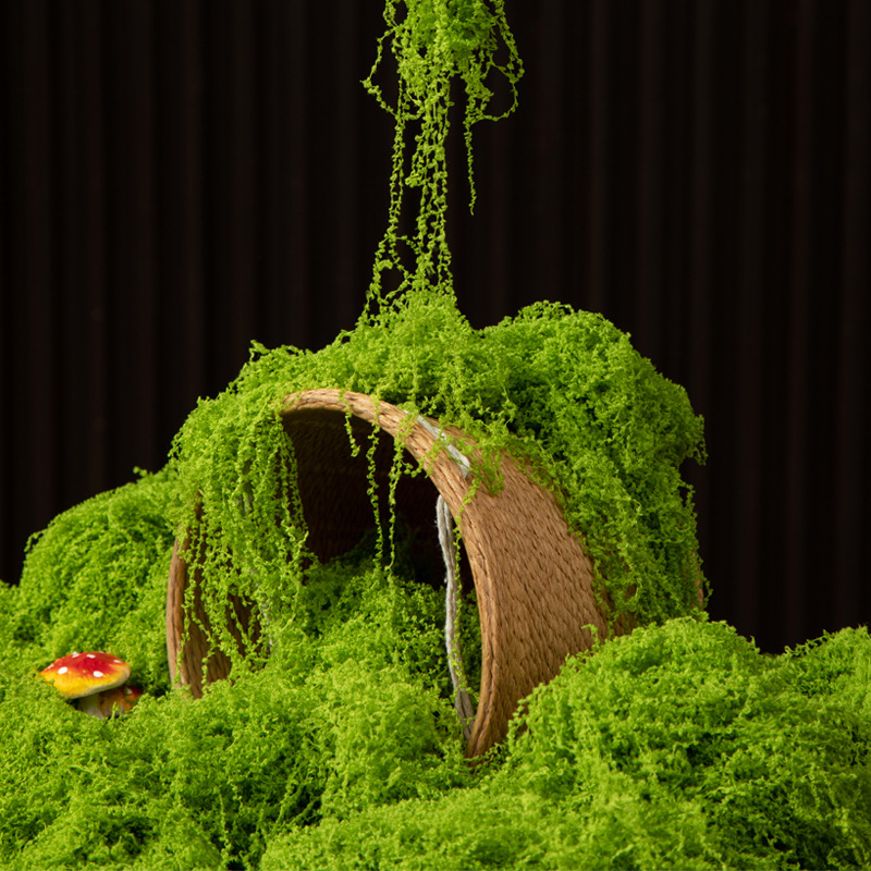 200g Eternal Life Moss DIY Cra - Terrarium Moss Art recension och pris