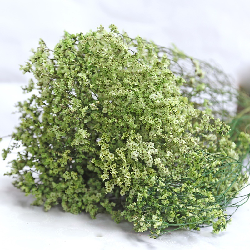 Natural Fresh Dried Preserved  - Dried Flower Bulk recension och pris
