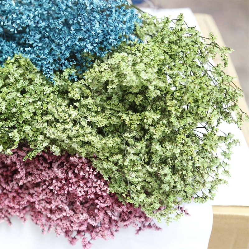 Natural Fresh Dried Preserved  - Dried Flower Bulk recension och pris