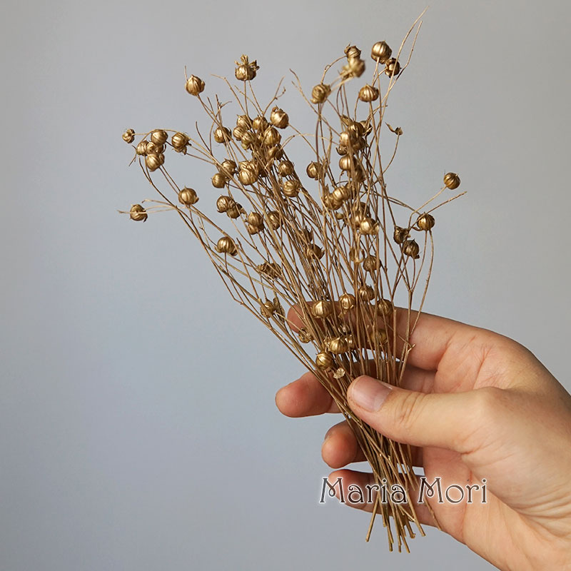 5g Preserved Flax Bean Natural - Dried Flower Bulk recension och pris