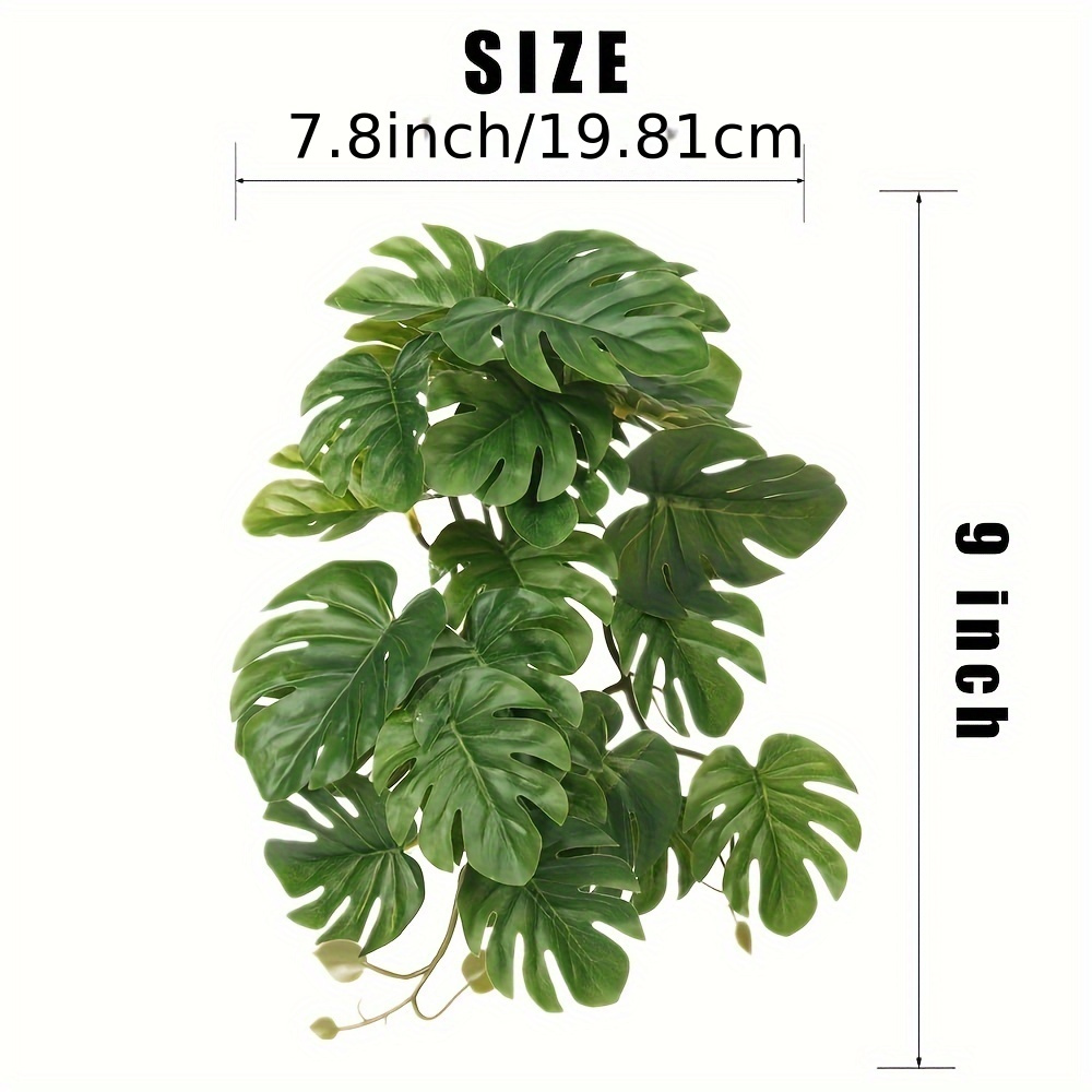 Reptile Plants for Terrarium A - Terrarium Moss Art recension och pris