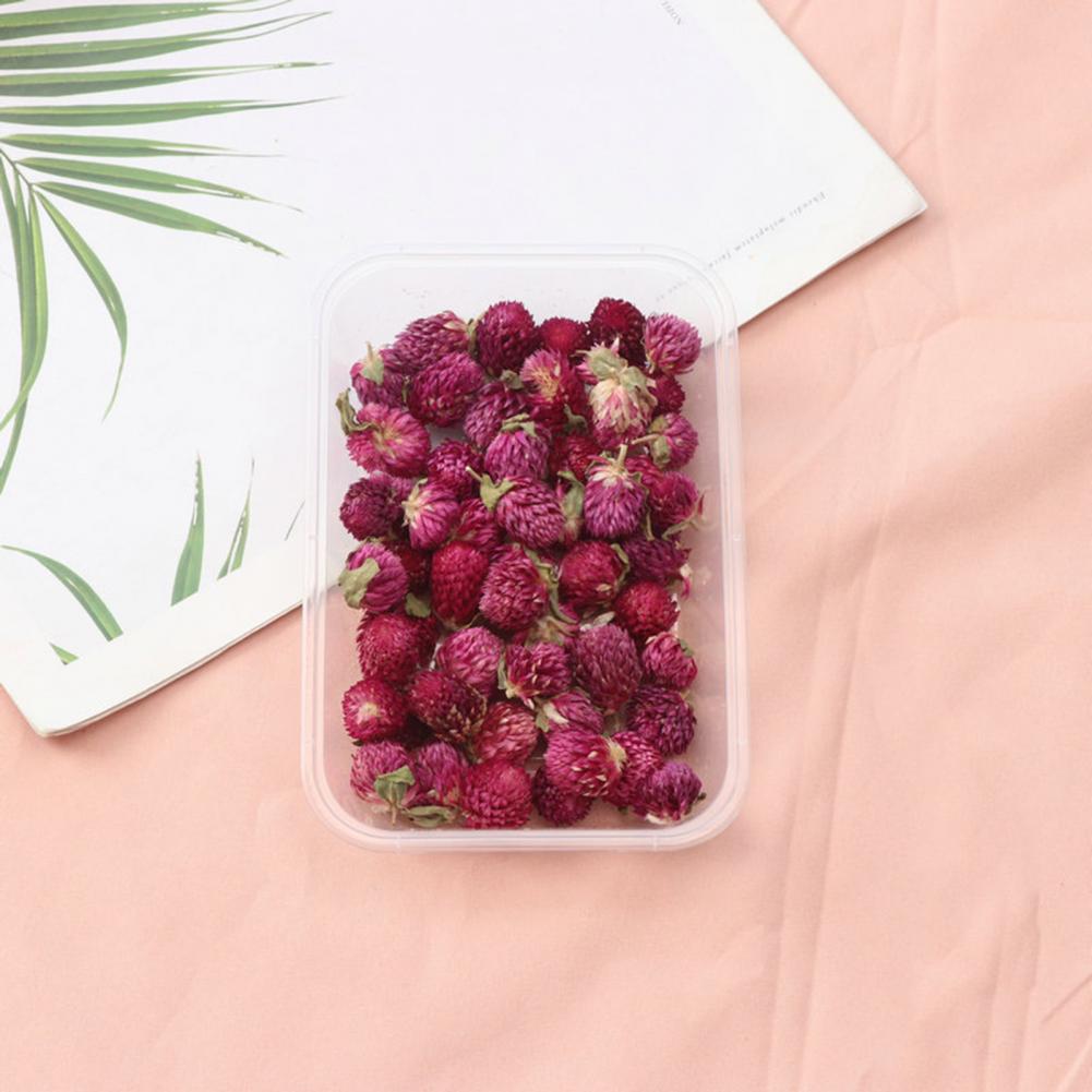 Natural Flowers Diy Dried Flow - Dried Flower Bulk recension och pris