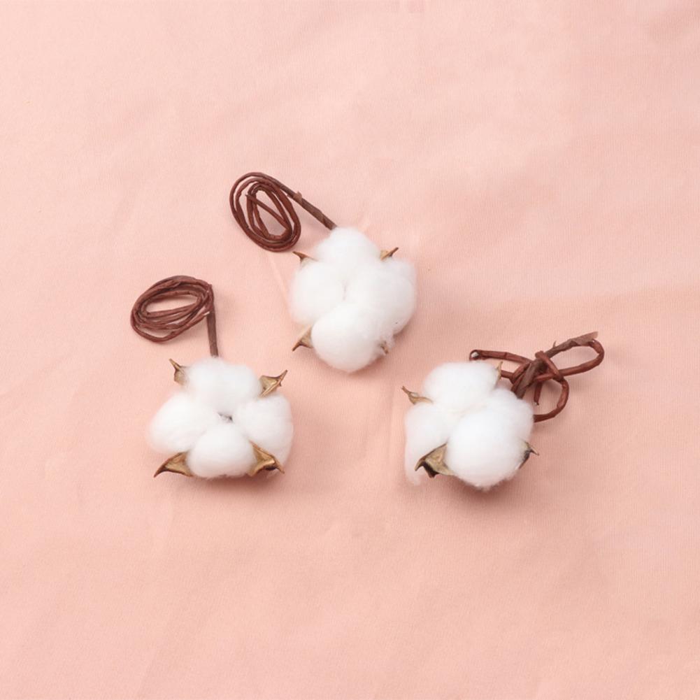 Natural Flowers Diy Dried Flow - Dried Flower Bulk recension och pris