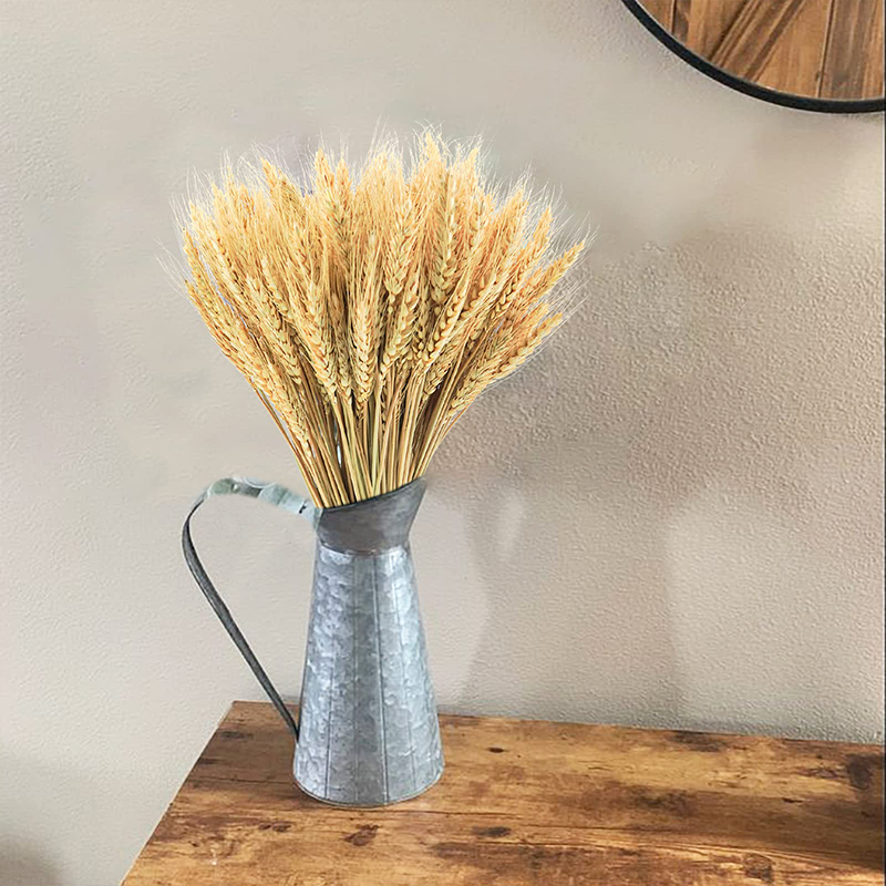 50/100/200PCS Dried Wheat Stal - Dried Flower Bulk recension och pris