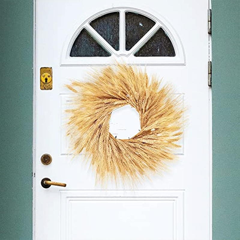 50/100/200PCS Dried Wheat Stal - Dried Flower Bulk recension och pris