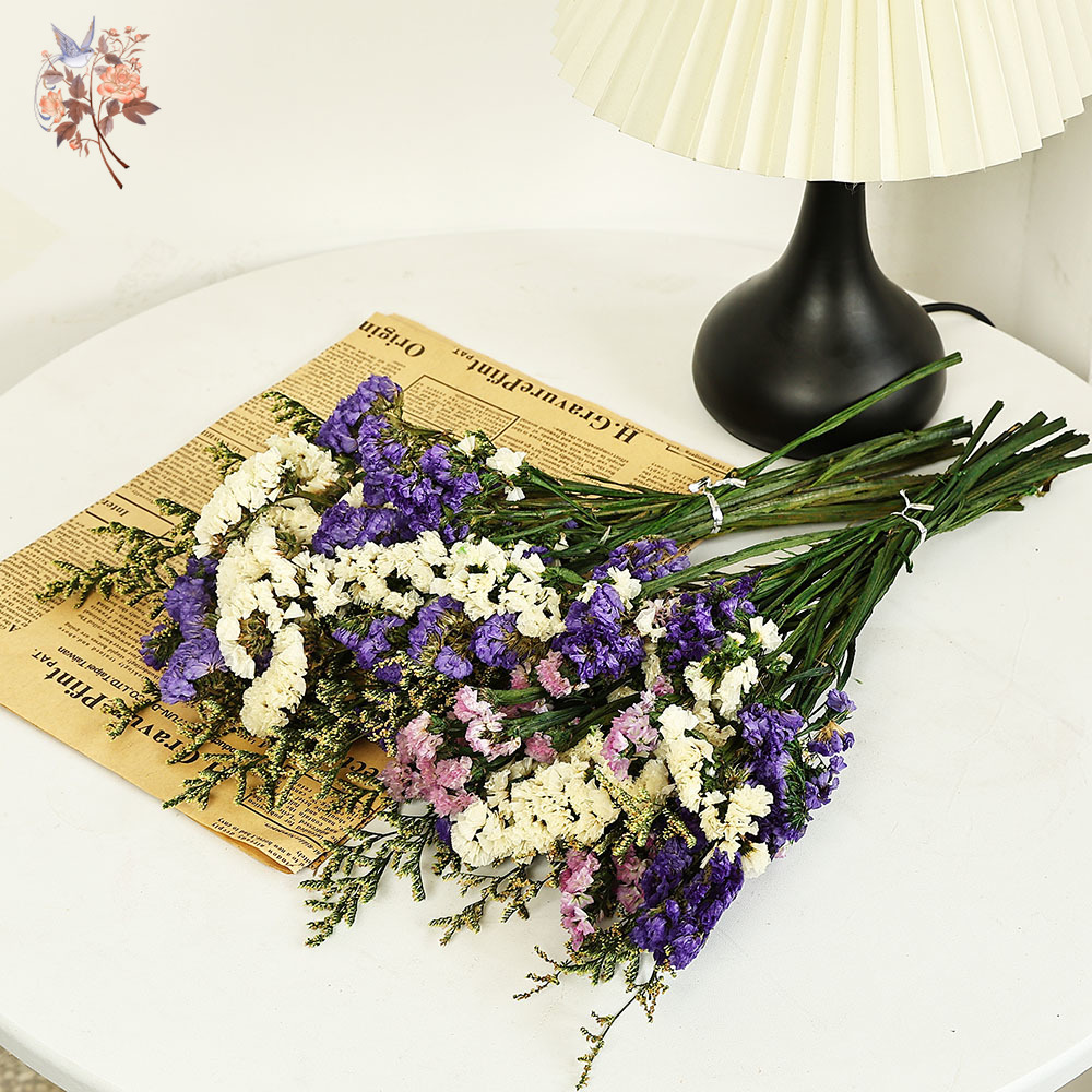 100g Natural Real Forget-me-no - Dried Flower Bulk recension och pris