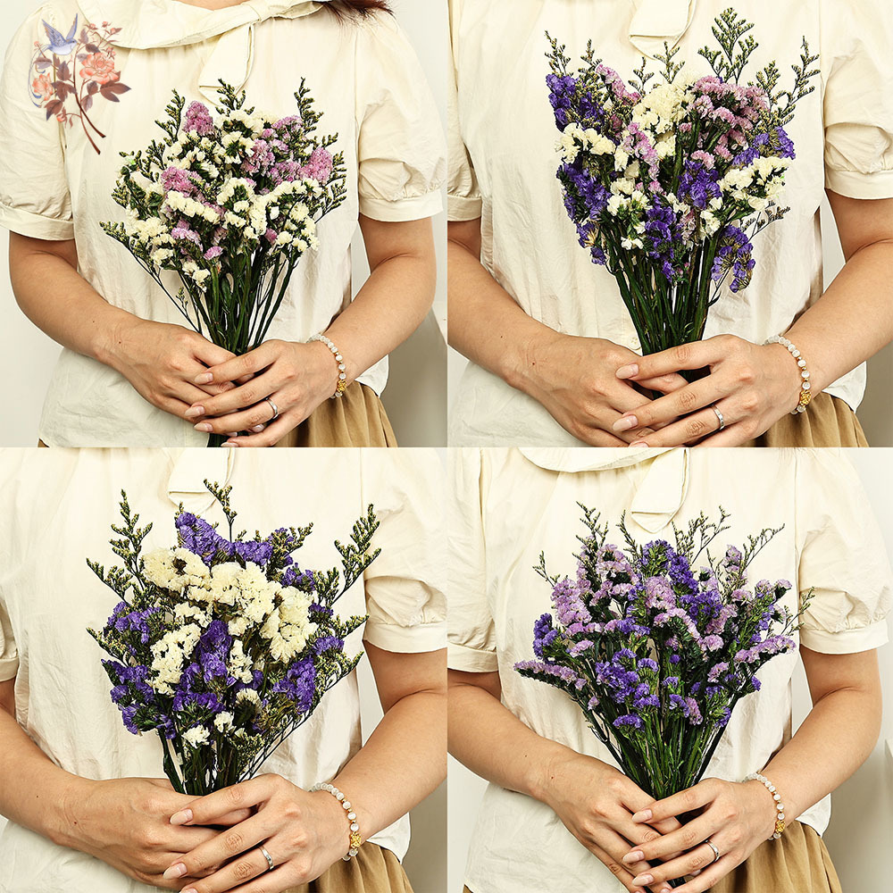 100g Natural Real Forget-me-no - Dried Flower Bulk recension och pris